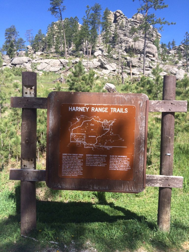 Trail 9 to Black Elk Peak