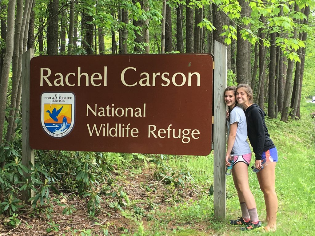 Rachel Carson National Wildlife Refuge
